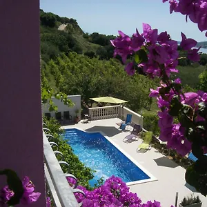 Apartment Roza